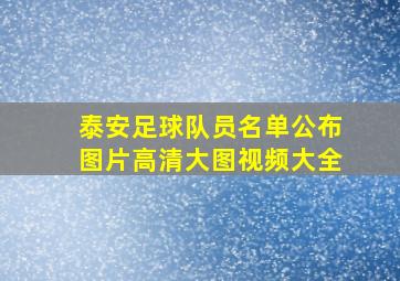 泰安足球队员名单公布图片高清大图视频大全