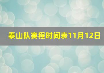 泰山队赛程时间表11月12日