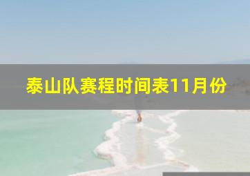 泰山队赛程时间表11月份