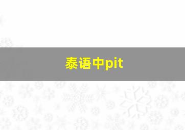 泰语中pit