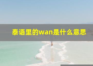 泰语里的wan是什么意思