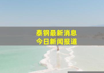 泰钢最新消息今日新闻报道