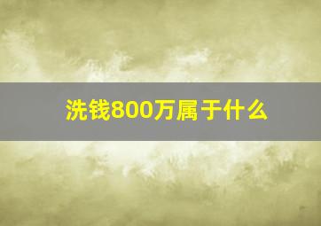 洗钱800万属于什么