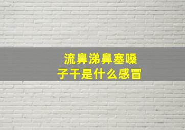 流鼻涕鼻塞嗓子干是什么感冒