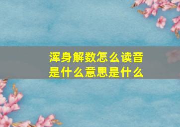 浑身解数怎么读音是什么意思是什么