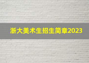 浙大美术生招生简章2023