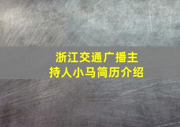 浙江交通广播主持人小马简历介绍