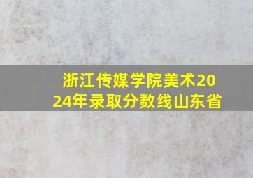 浙江传媒学院美术2024年录取分数线山东省