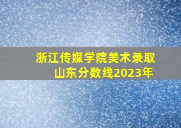 浙江传媒学院美术录取山东分数线2023年