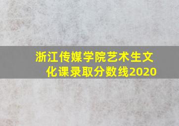 浙江传媒学院艺术生文化课录取分数线2020