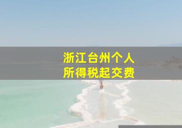 浙江台州个人所得税起交费