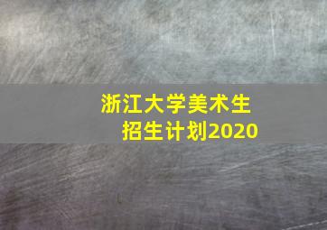 浙江大学美术生招生计划2020