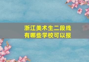 浙江美术生二段线有哪些学校可以报