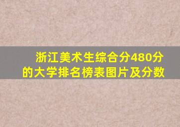 浙江美术生综合分480分的大学排名榜表图片及分数