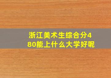 浙江美术生综合分480能上什么大学好呢