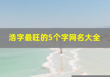 浩字最旺的5个字网名大全