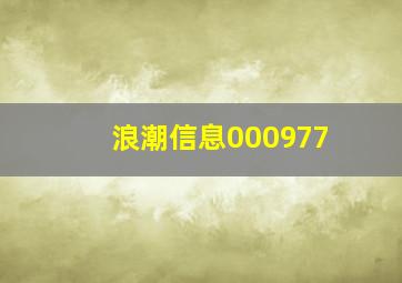 浪潮信息000977