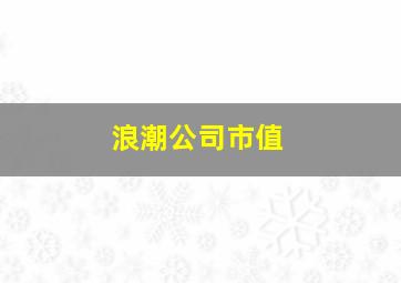 浪潮公司市值