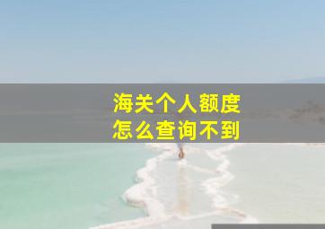 海关个人额度怎么查询不到