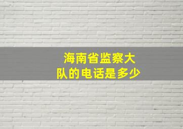 海南省监察大队的电话是多少