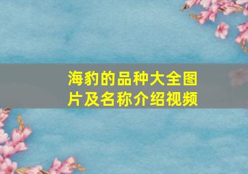 海豹的品种大全图片及名称介绍视频