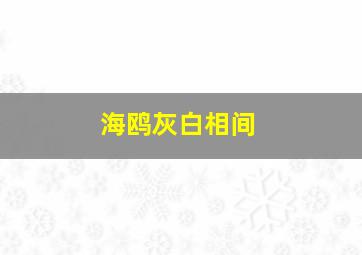 海鸥灰白相间