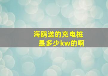 海鸥送的充电桩是多少kw的啊