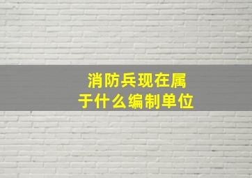 消防兵现在属于什么编制单位