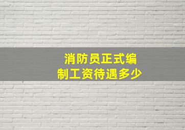 消防员正式编制工资待遇多少