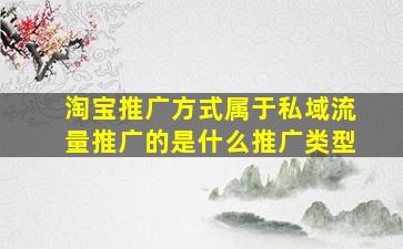 淘宝推广方式属于私域流量推广的是什么推广类型