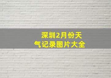 深圳2月份天气记录图片大全