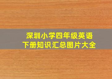 深圳小学四年级英语下册知识汇总图片大全