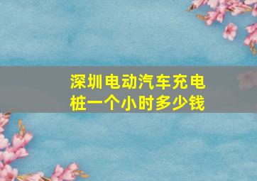 深圳电动汽车充电桩一个小时多少钱