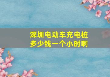 深圳电动车充电桩多少钱一个小时啊