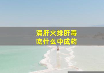 清肝火排肝毒吃什么中成药