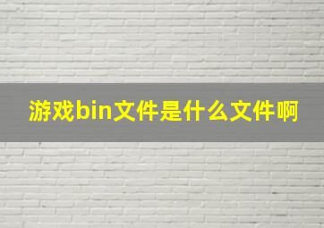 游戏bin文件是什么文件啊