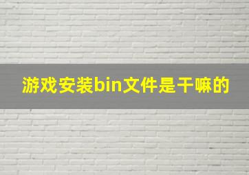 游戏安装bin文件是干嘛的