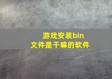 游戏安装bin文件是干嘛的软件