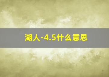 湖人-4.5什么意思