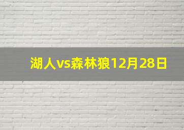 湖人vs森林狼12月28日