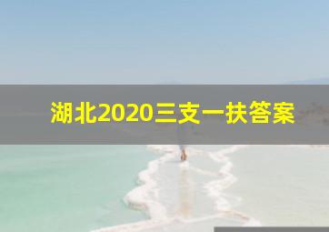 湖北2020三支一扶答案