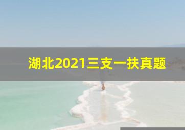 湖北2021三支一扶真题