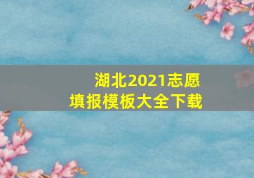 湖北2021志愿填报模板大全下载