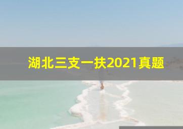 湖北三支一扶2021真题