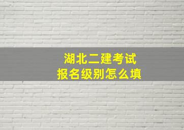 湖北二建考试报名级别怎么填