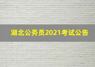 湖北公务员2021考试公告