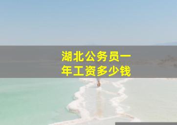 湖北公务员一年工资多少钱