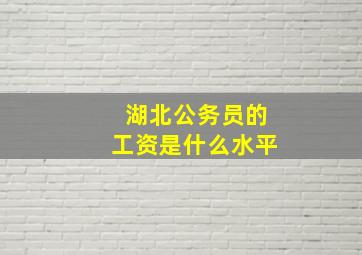 湖北公务员的工资是什么水平