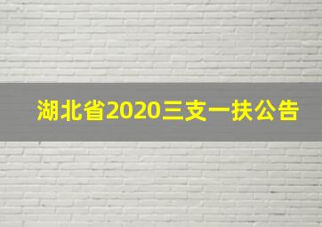 湖北省2020三支一扶公告