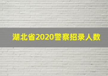 湖北省2020警察招录人数